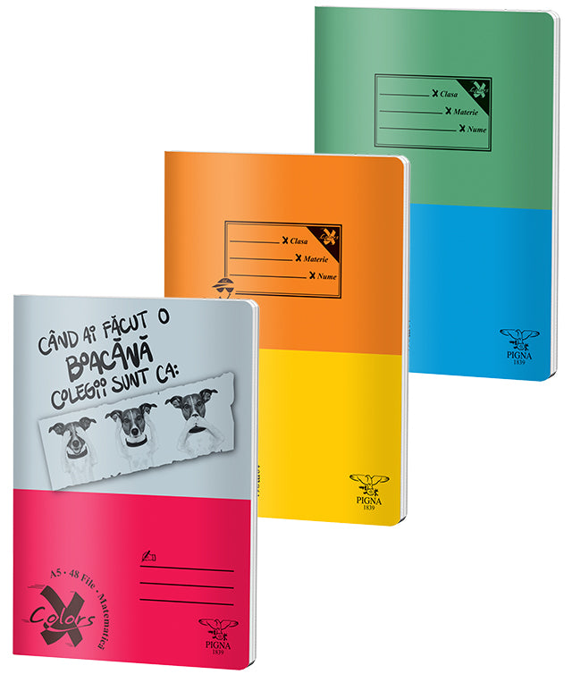 CAIET A5 48 FILE ARITMETICA BASIC PIGNA CAIET A5 48 FILE ARITMETICA BASIC PIGNA